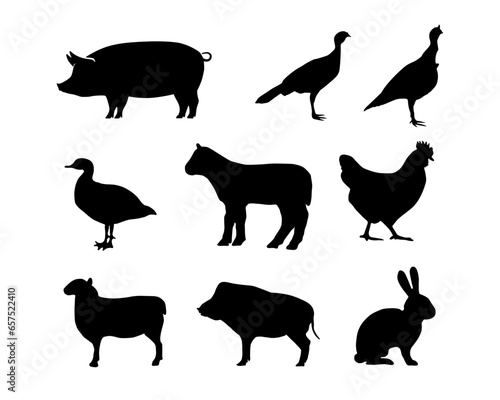 Tiere Bauernhof
