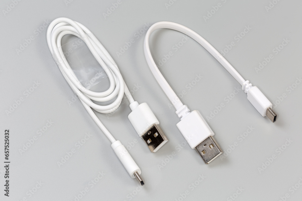 Fototapeta premium Cables USB Type-A to Type-C on gray background