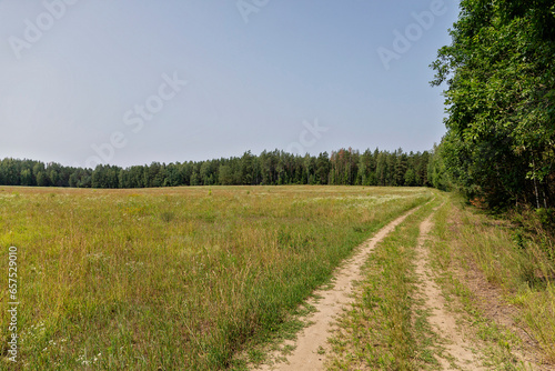 road in the field