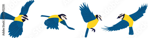 set of tits flying, on a white background, vector