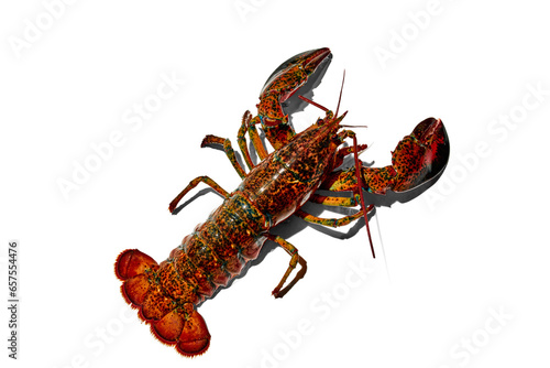 Delicious, fresh seafood, crayfish isolated against white background. Food market, restaurant. Concept of seafood, delicious taste, marine life, organic products. Copy space for ad