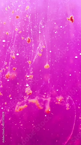 Pink particles floating vertical video photo