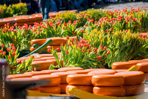 cheese loafs between red tulips