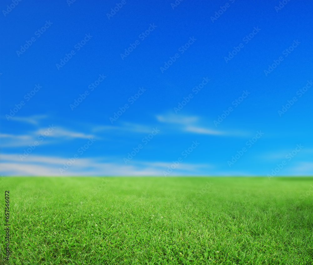 Green grass under bright blue sky with clouds Green grass under bright blue sky with clouds