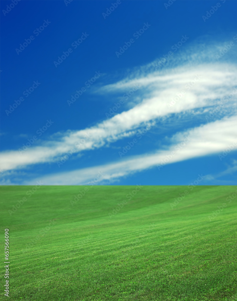 Green grass under bright blue sky with clouds Green grass under bright blue sky with clouds