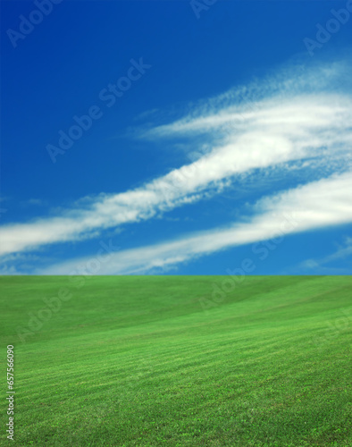 Green grass under bright blue sky with clouds