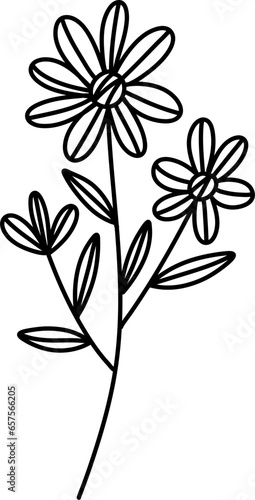 Wildflowers Line Art