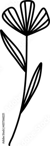 Wildflowers Line Art