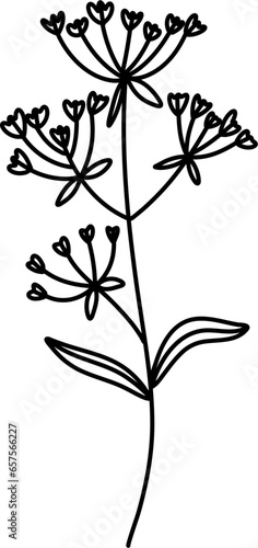 Wildflowers Line Art