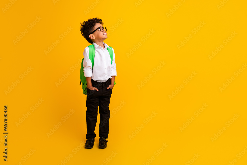 Full size portrait of minded smart little kid carry backpack look interested empty space ad isolated on yellow color background Full size portrait of minded smart little kid carry backpack look interested empty space ad isolated on yellow color background