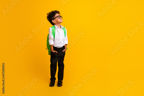 Full size portrait of minded smart little kid carry backpack look interested empty space ad isolated on yellow color background