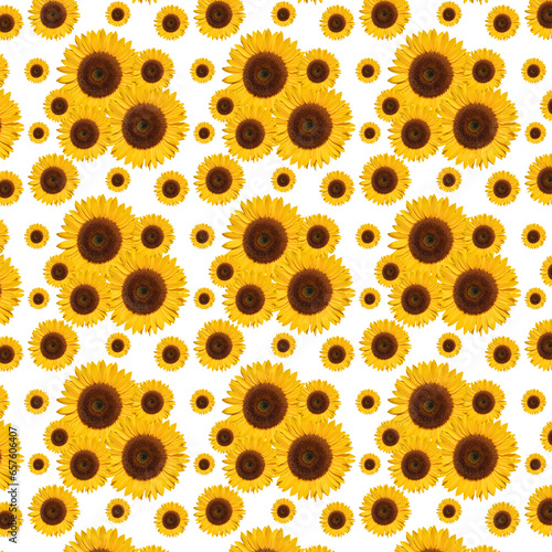 Floral pattern. Sunflower with yellow petals and a dark center pattern.