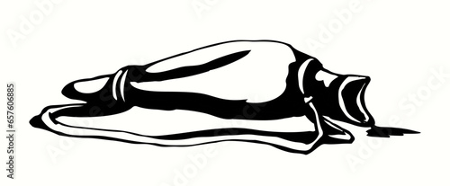 An empty waterskin lies on the ground. Vector drawing