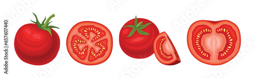 Fresh Red Tomato Vegetable as Mature Garden Crop Vector Set