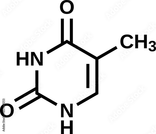 Thymine structural formula, vector illustration