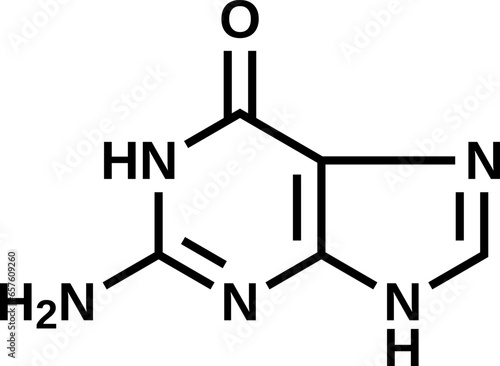 Guanine structural formula, vector illustration