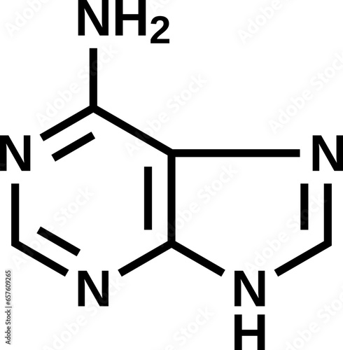 Adenine structural formula, vector illustation