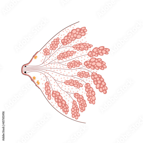 Woman breast internal structure hand drawing. Side view of mammary gland, nipple, Montgomery's glands, milk ducts anatomy.