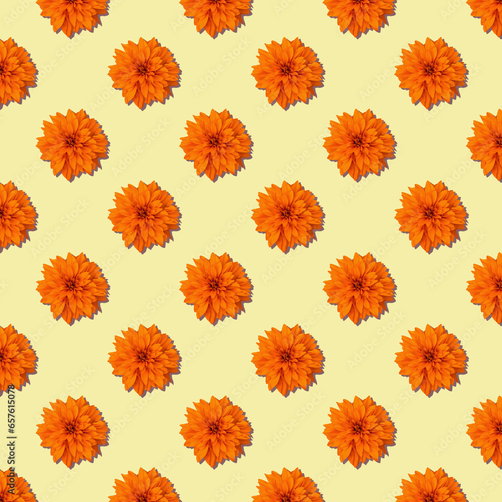 image to crop