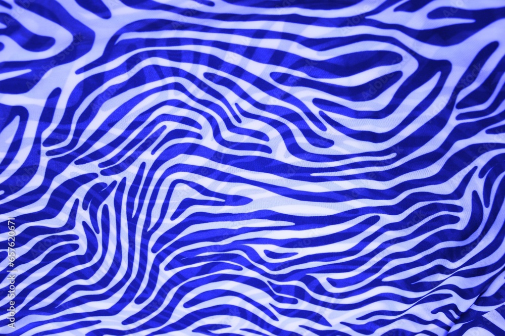 Blue and white curved stripes. A pattern on the fabric as a background texture. Animalistic abstract background.