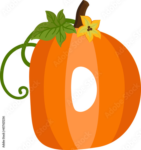 Pumpkin Alphabet Letter d photo