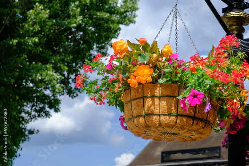 Colorful flower pot suspended in the air with small chains