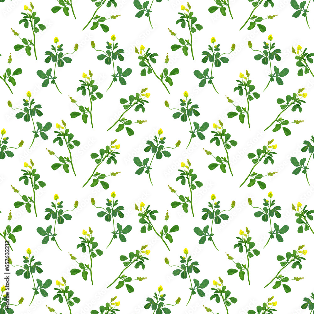 seamless pattern with wild and garden flowers on a white background. seamless pattern with wild and garden flowers on a white background.