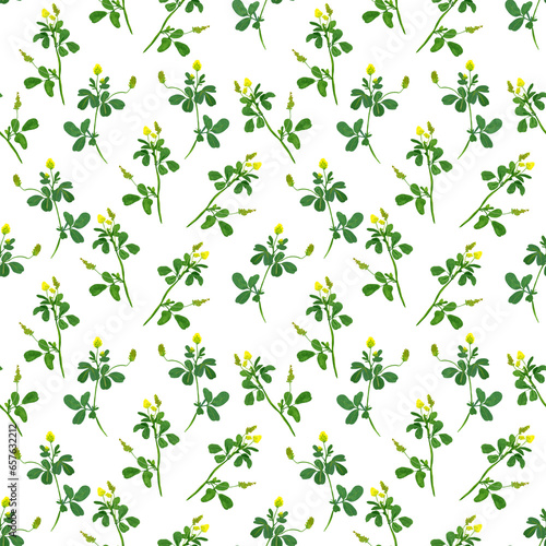 seamless pattern with wild and garden flowers on a white background.