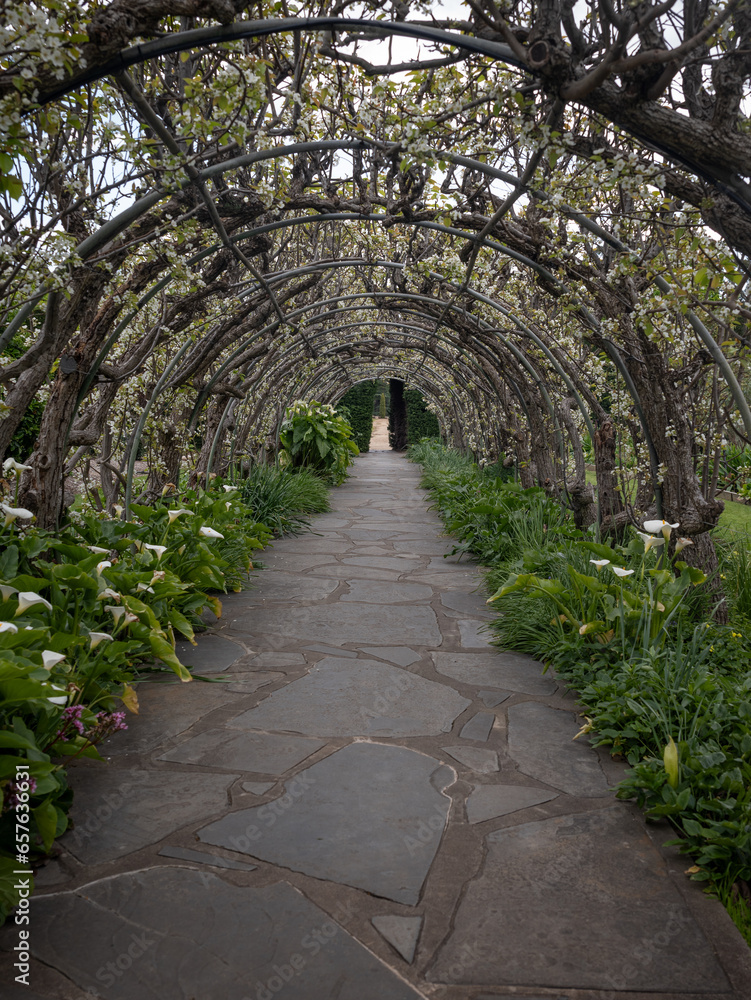 stone path in the park with spring blossom plants growing over curved arbour stone path in the park with spring blossom plants growing over curved arbour