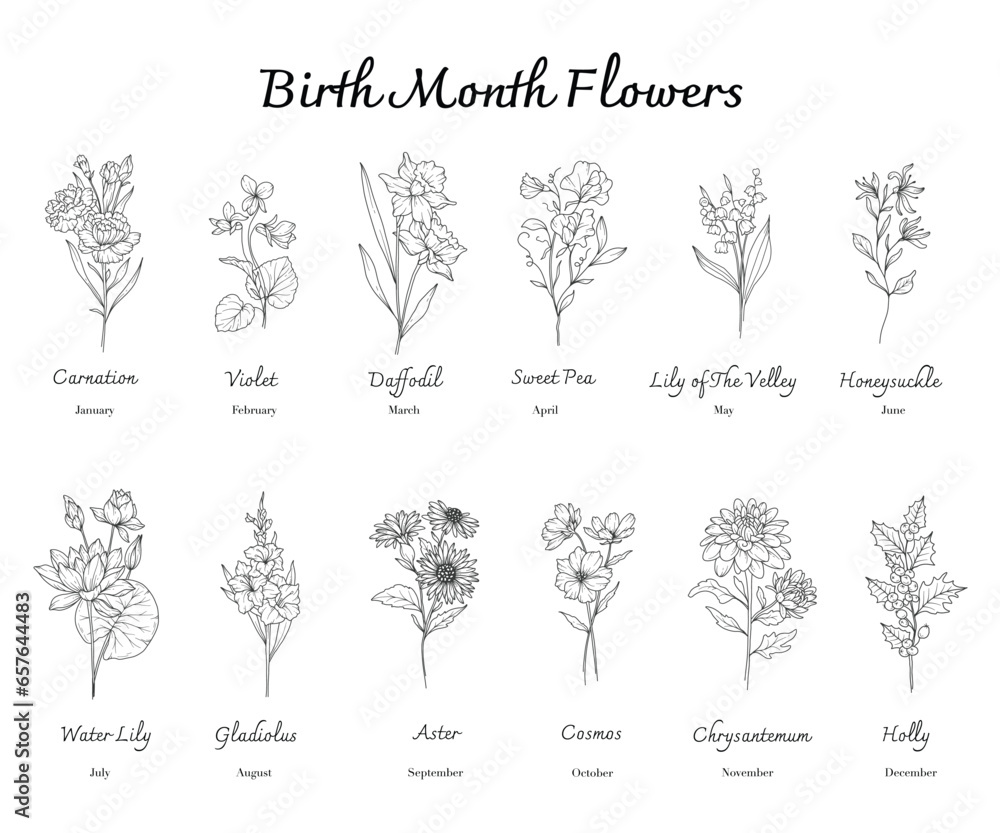 Birth Month Flowers set line art. Outline birth month flowers isolated