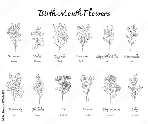 Fotografia Birth Month Flowers set line art