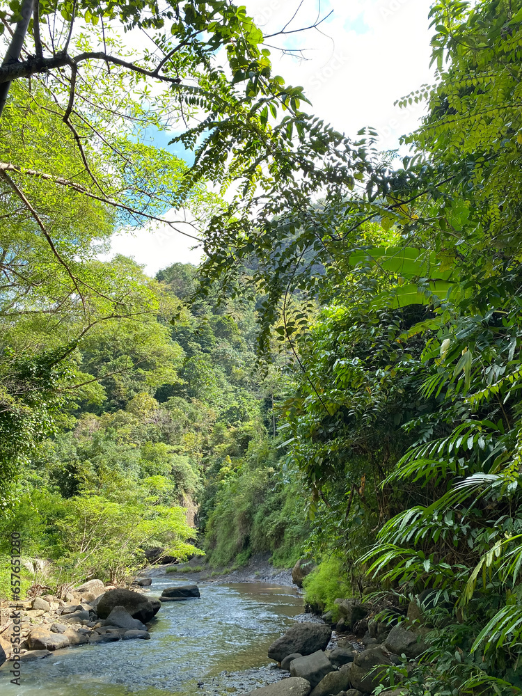 Obraz premium The flow of water between the rocks comes from the canal of the Cikanteh waterfall, Ciletuh Geopark, Sukabumi.