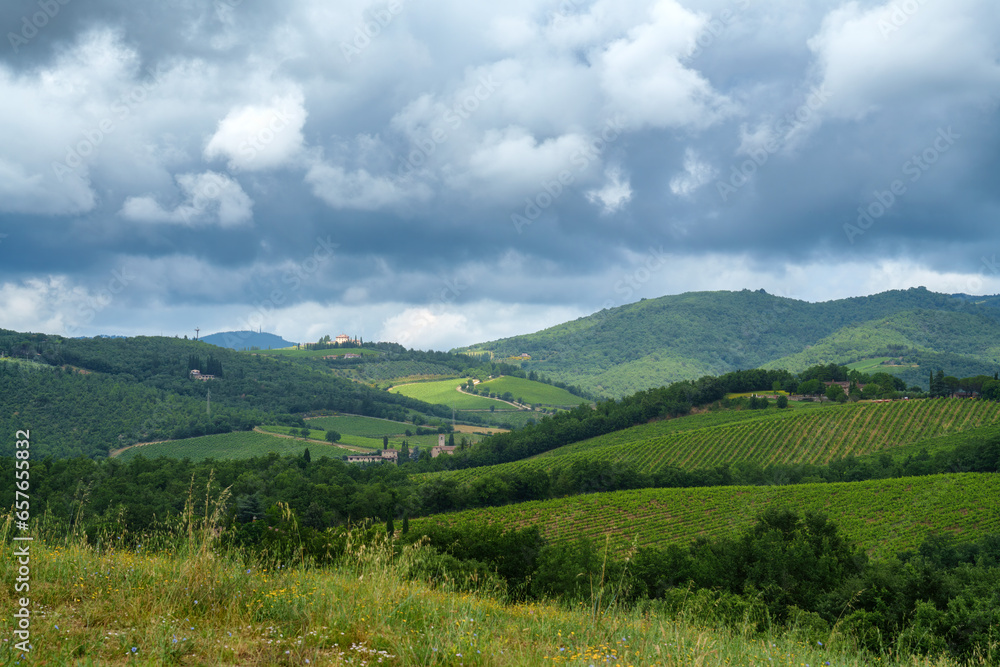 Vineyards of Chianti near Gaiole, Siena province