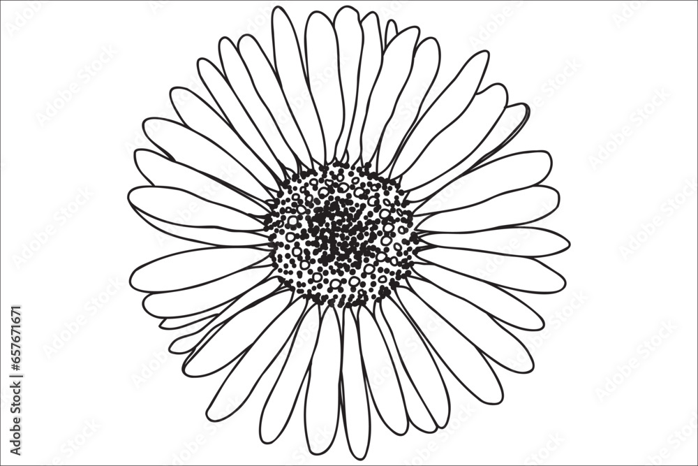 Daisy is drawn in black outline, intended for printing on cards, clothes, accessories, March 8, Valentine and other occasions.