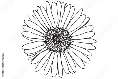 Daisy is drawn in black outline, intended for printing on cards, clothes, accessories, March 8, Valentine and other occasions.