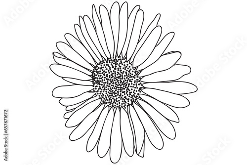Daisy is drawn in black outline, intended for printing on cards, clothes, accessories, March 8, Valentine and other occasions.