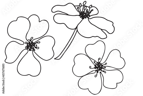 The Potentilla flower is painted with a black outline, it is intended for cards, printouts, March 8, Valentine's Day, tattoos and other occasions.