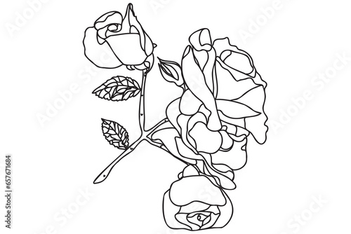 Black and white line art flower illustration. Rose outline, contour, illustration with leaves. Black thin contour decoration.