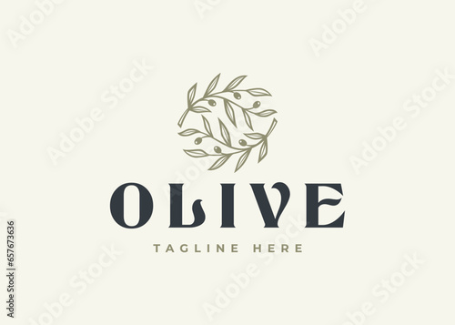 olive branch logo vector illustration