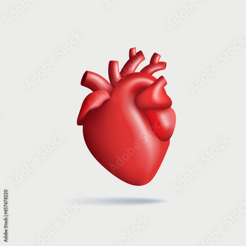 3d realistic vector human heart illustration. Anatomically correct heart with venous system, isolated