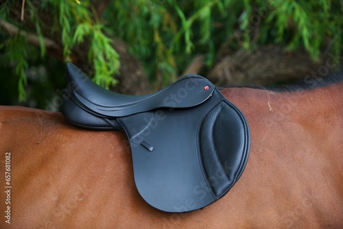 saddle on a horse