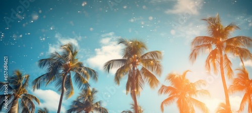 Palm trees background. Generative AI technology.   © Hero Design