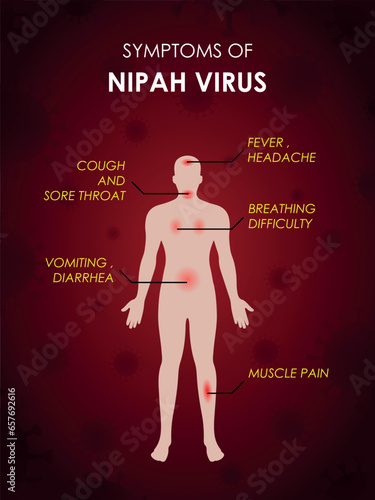 Symptoms of Nipah virus, human body sign, health notice, medical message, warning background, stop infection spreading, dangerous health situation, epidemic alert, abstract vector illustration