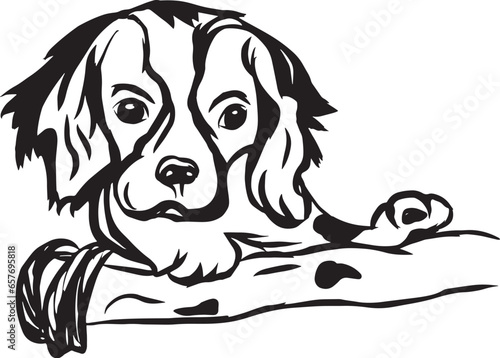 Cartoon Black and White Illustration Vector Of A Cavalier King Charles Puppy Dog Laying Down