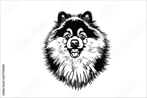 Adorable Canine: Keeshond's Cutest Moments Captured in Vector