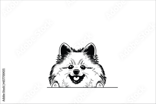 Curious Keeshond: A Vector Illustration of a Playful Dog Sneaking a Peek