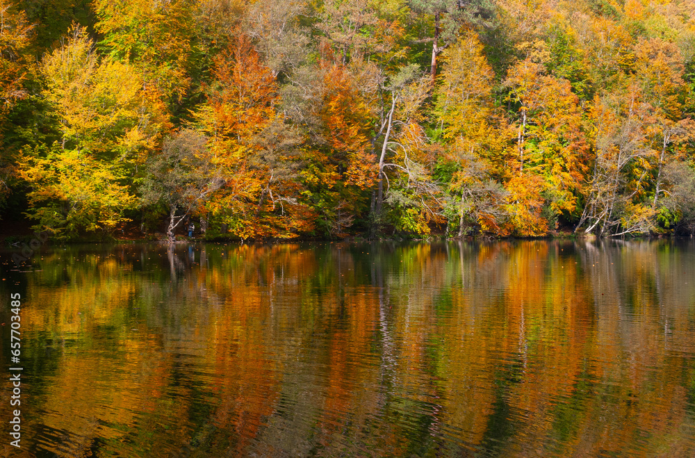 Yedigoller, Bolu, Turkey - October 23rd 2022: Autumn's reflection on the tranquil lake, lakeside serenity in the heart of autumn