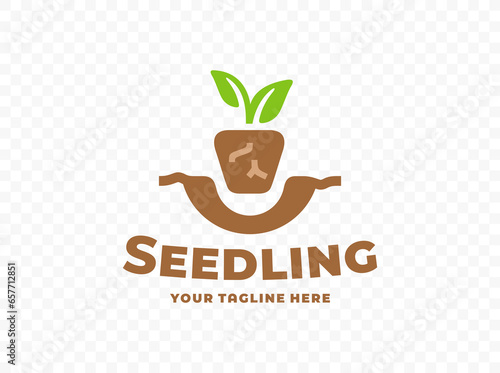 Transplant seedlings after germination logo design. Planting young seedlings in the ground in the garden vector design