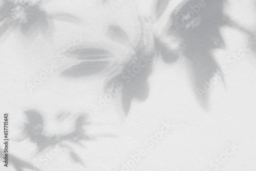 Leaf shadow and tree branch background. Nature leaves tree branch light bokeh shadows sunlight sunshine shade on white wall texture for background wallpaper, shadows overlay effect foliage mockup