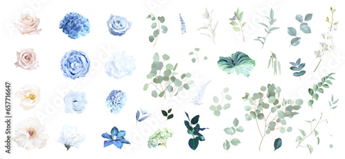 Blue rose and sage green eucalyptus, ivory peony, magnolia, dusty blue hydrangea, ranunculus flowers vector